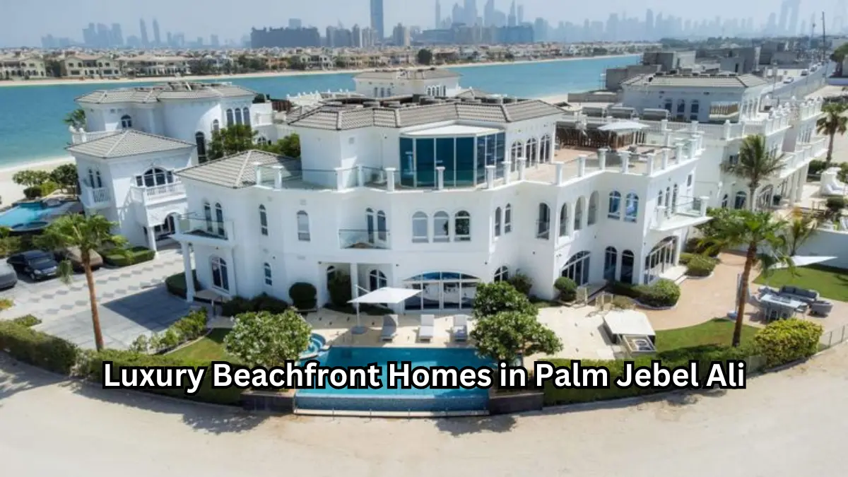 Luxury Beachfront Homes in Palm Jebel Ali